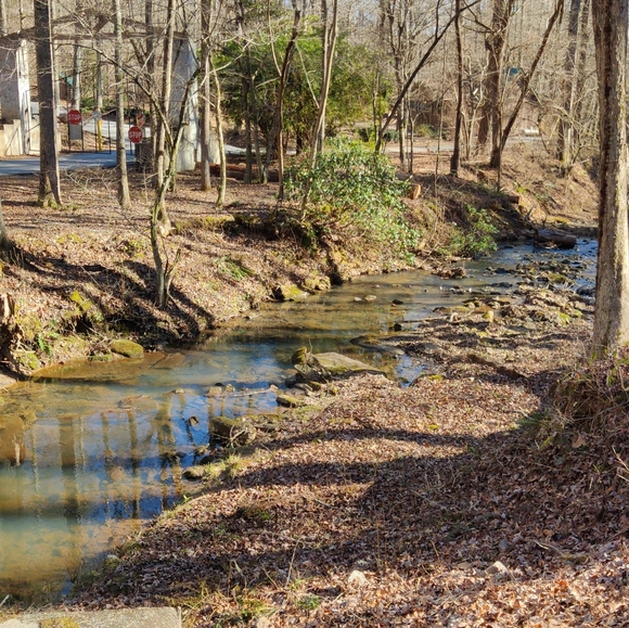 Meet the posher, Isaac - Picture 14 of 16